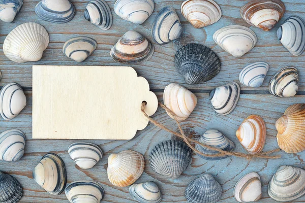 Beach and sea shells on a old grey blue knotted wooden background with a emty white wash wooden label for a beach , vacation mood board layout — Stock Photo, Image