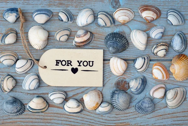 Grey blue old wooden empty  background with label and sea shells — Stock Photo, Image