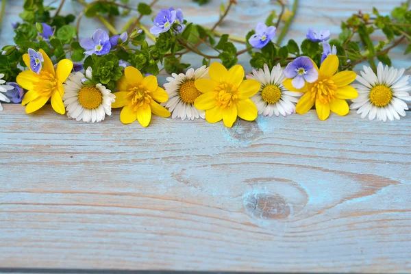 Grens rij van voorjaar fieldflowers zoals boterbloemen en margrieten op een blauw grijs ols geknoopte hout met lege ruimte-indeling gebruikt voor elementaire moodboard — Stockfoto