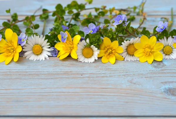 Border row of spring fieldflowers such as buttercups and daisies on a blue grey ols used knotted wood with empty space layout for basic moodboard — Stock Photo, Image