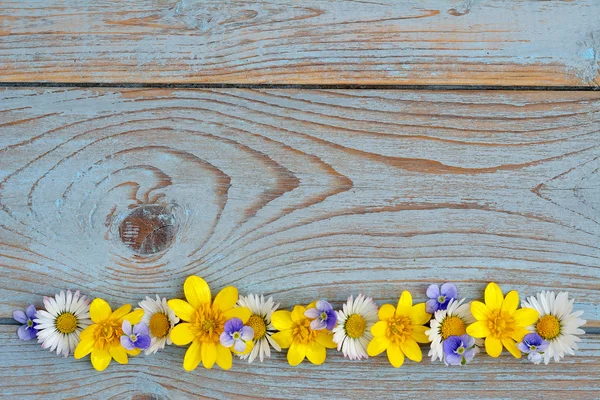 Border row of spring fieldflowers such as buttercups and daisies on a blue grey ols used knotted wood with empty space layout for basic moodboard — Stock Photo, Image