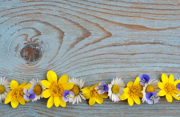 Fila de fronteira de flores de campo de primavera, como copos de manteiga e margaridas em um azul cinza ols usado madeira atada com layout de espaço vazio para moodboard básico — Fotografia de Stock