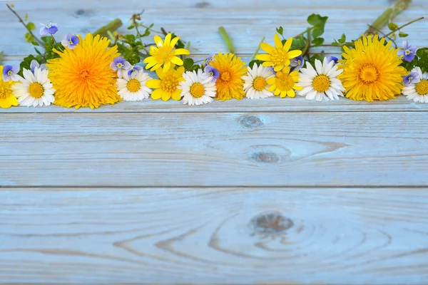 Border row of spring fieldflowers such as buttercups and daisies on a blue grey ols used knotted wood with empty space layout for basic moodboard — Stock Photo, Image