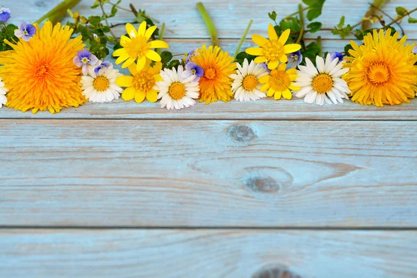 Fila de fronteira de flores de campo de primavera, como copos de manteiga e margaridas em um azul cinza ols usado madeira atada com layout de espaço vazio para moodboard básico — Fotografia de Stock