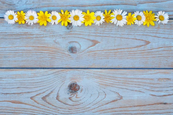 Fila de fronteira de flores de campo de primavera, como copos de manteiga e margaridas em um azul cinza ols usado madeira atada com layout de espaço vazio para moodboard básico — Fotografia de Stock