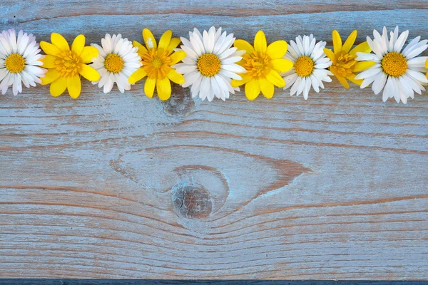 Border row of spring fieldflowers such as buttercups and daisies on a blue grey ols used knotted wood with empty space layout for basic moodboard