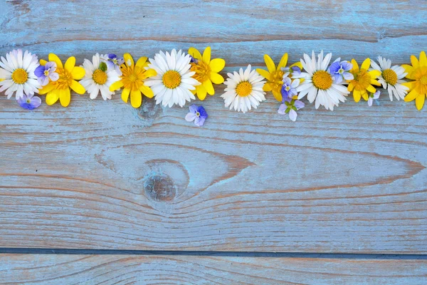 Fila de fronteira de flores de campo de primavera, como copos de manteiga e margaridas em um azul cinza ols usado madeira atada com layout de espaço vazio para moodboard básico — Fotografia de Stock