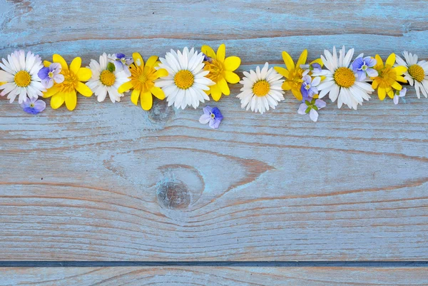 기본 moodboard에 빈 공간 레이아웃 buttercups와 데이지 블루 회색 ols에 봄 fieldflowers의 국경 행 사용 매듭이 나무 — 스톡 사진