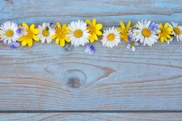 Fila de fronteira de flores de campo de primavera, como copos de manteiga e margaridas em um azul cinza ols usado madeira atada com layout de espaço vazio para moodboard básico — Fotografia de Stock