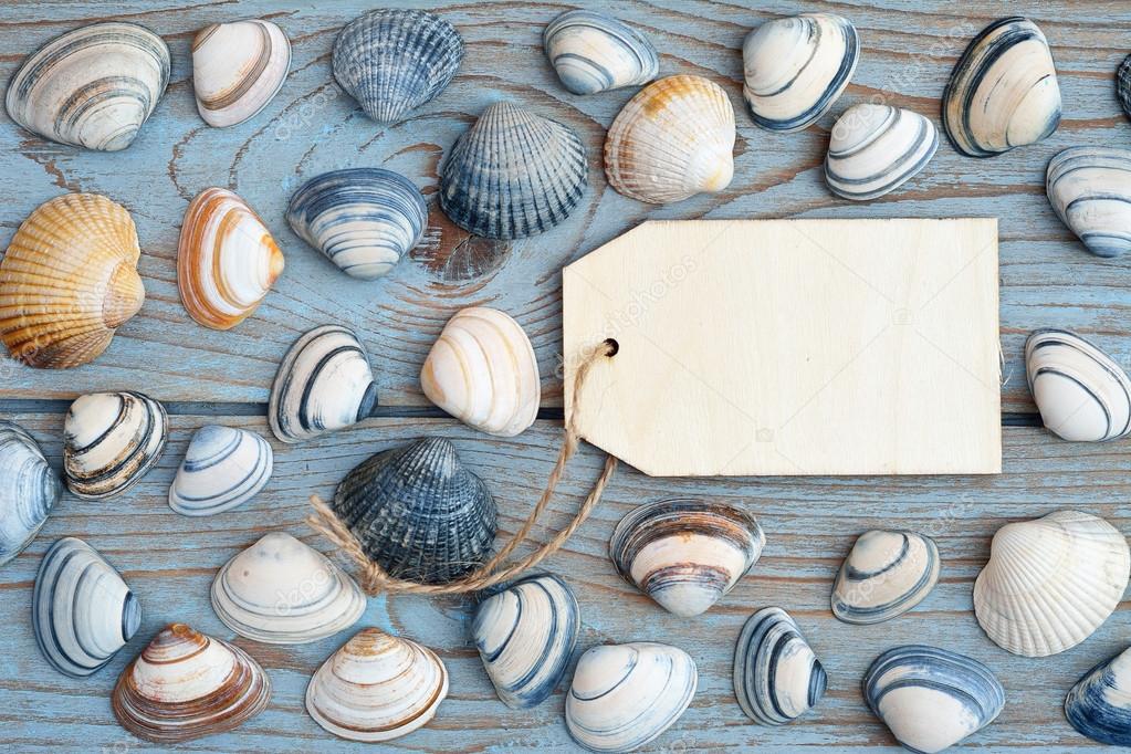 Beach and sea shells on a old grey blue knotted wooden background with a emty white wash wooden label for a beach , vacation mood board layout
