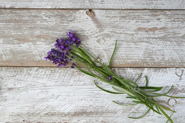 Monte de lavanda roxa azul em um velho branco vazio cópia espaço prateleiras fundo no romântico país estilo vintage — Fotografia de Stock