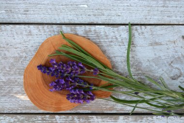eski bir beyaz boş kopya alanı üzerinde mavi mor lavanta demet arka planda romantik ülke vintage tarzı raflar