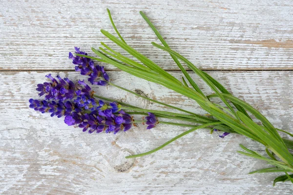 Monte de lavanda roxa azul em um velho branco vazio cópia espaço prateleiras fundo no romântico país estilo vintage — Fotografia de Stock