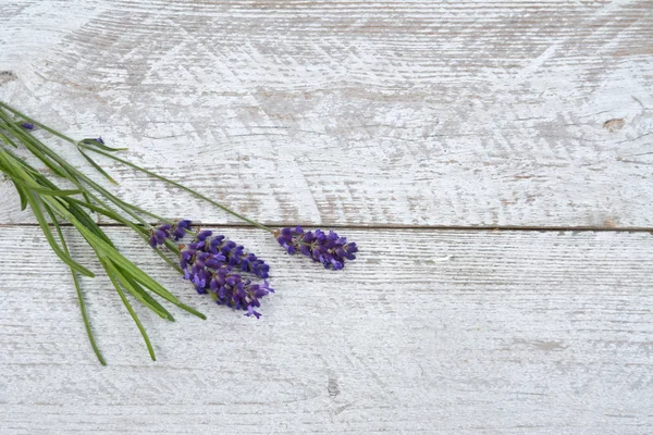 Monte de lavanda roxa azul em um velho branco vazio cópia espaço prateleiras fundo no romântico país estilo vintage — Fotografia de Stock