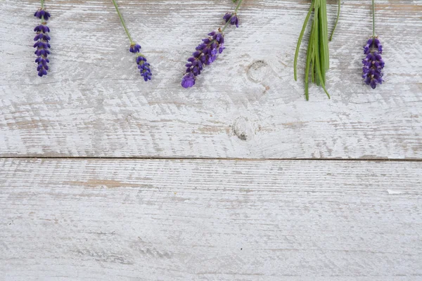 Monte de lavanda roxa azul em um velho branco vazio cópia espaço prateleiras fundo no romântico país estilo vintage — Fotografia de Stock