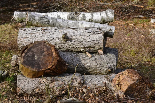 Naturaleza muerta de la chimenea apilada ramas de madera con hojas de otoño de otoño — Foto de Stock