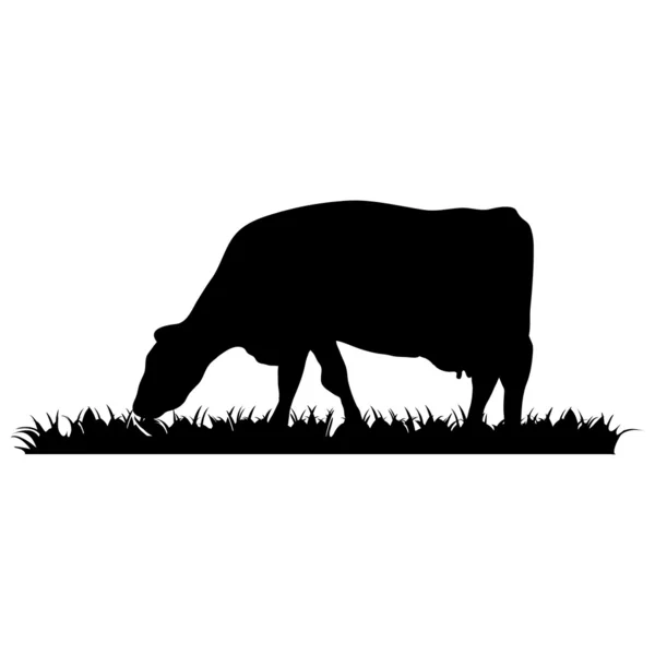 Vaca casera Ilustraciones de stock libres de derechos