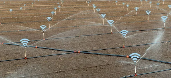 With wifi controlled smart irrigation system. Smart farming argriculture concept. a newly sown field