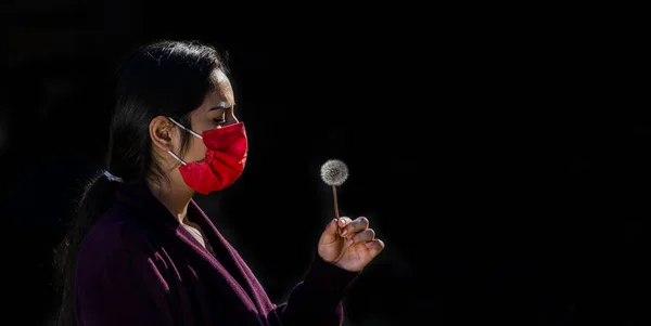 A woman wearing a red surgical mask is blowing a dandelion. Covid-19 concept. Black isolated background