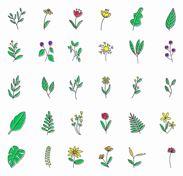 Цветочные Элементы Ручной Работы Весенняя Летняя Тема Цветочный Растительный Ботанический — стоковый вектор