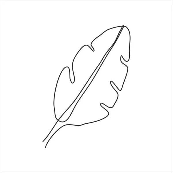 Jedna Čára Kresby Banánového Listu Spojitá Čára Art — Stockový vektor