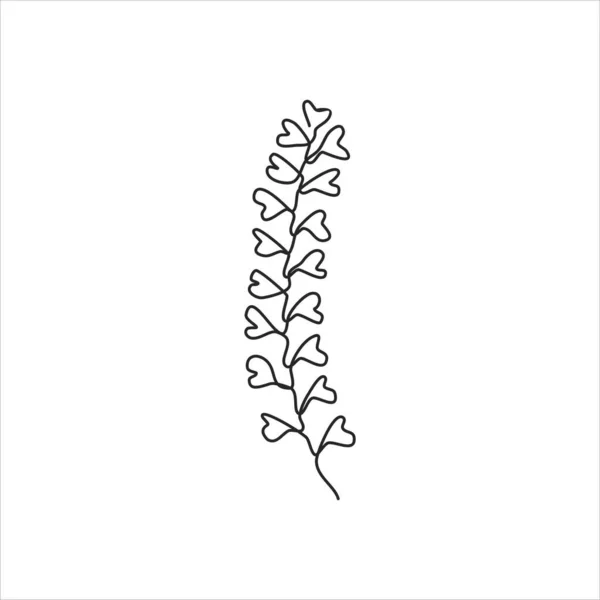 Dessin Une Ligne Fleur Basilic Citron Art Linéaire Continu — Image vectorielle