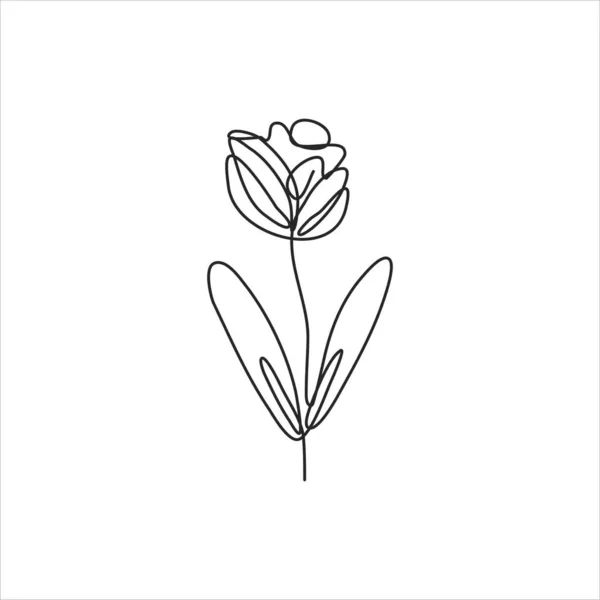 Jednořádková Kresba Elegantní Tulipánové Květiny Spojitá Čára Art — Stockový vektor