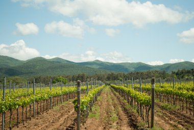Campagna della Toscana