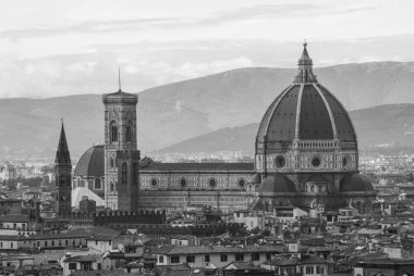 Firenze città d'arte e di letterati