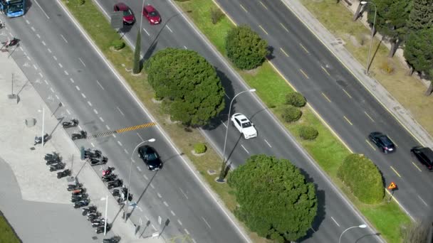 Madrid Ana Caddesindeki Hava Trafiği Caddeler Arasında Ağaçlar Var Paseo — Stok video