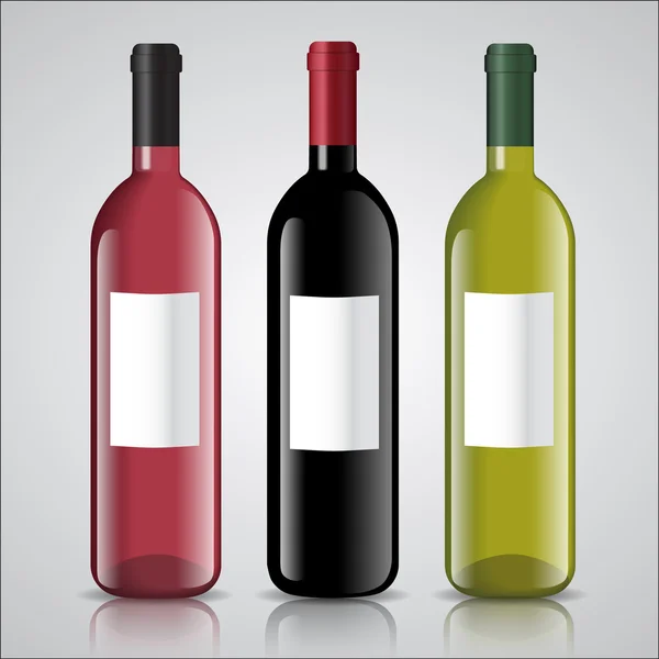 Three bottles of white and red wine with labels — Stock Vector