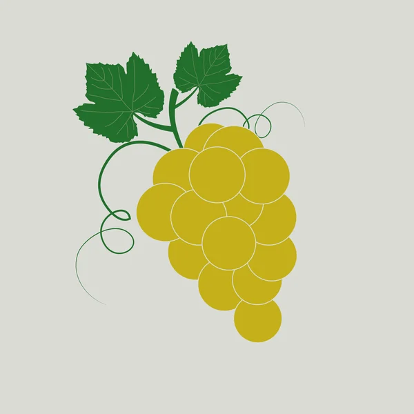 Бранч винограда с листьями — стоковый вектор