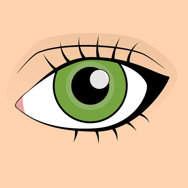Olho verde humano —  Vetores de Stock