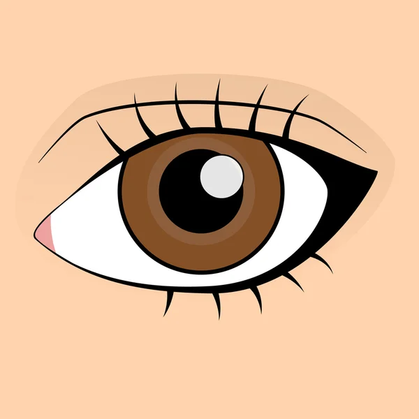 Human brown eye — Stock Vector