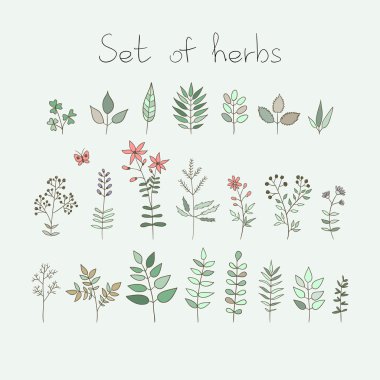 Vektör doodle bitkiler ve çiçekler