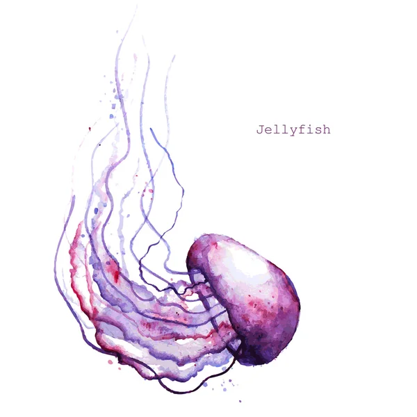 Suluboya denizanası