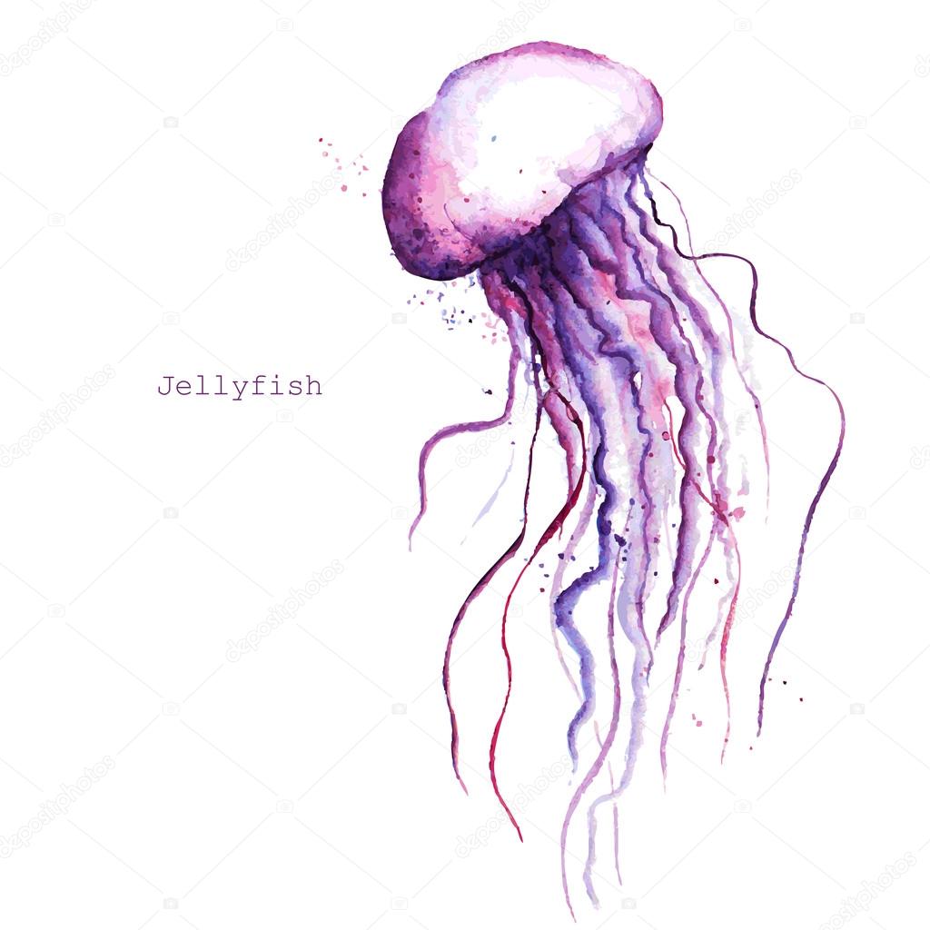 Color By Number Jelly Fish Stock Illustration Download