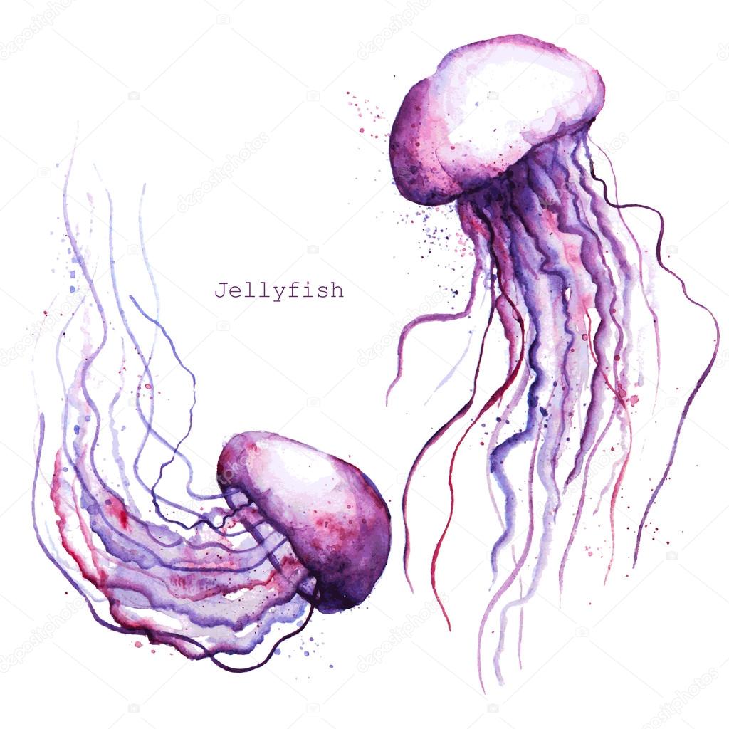 Watercolor jellyfish