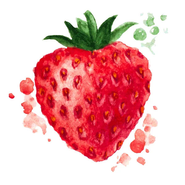 Fond vectoriel aquarelle. La texture de la fraise pour le design — Image vectorielle