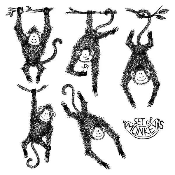 Vektör kümesi maymunlar, doodle illüstrasyon tasarımı için