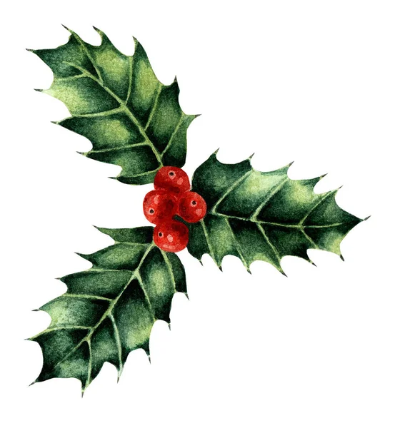 Karácsonyi Akvarell Illusztráció Holly Három Levél Bogyó Hagyományos Újévi Kép — Stock Fotó