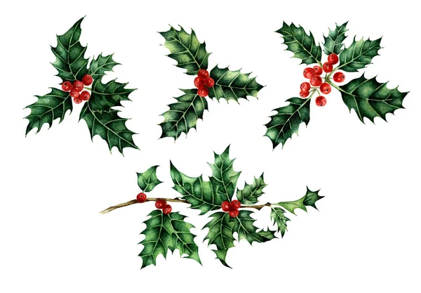 クリスマスと新年の装飾要素のシンボル ホリーベリーセット 白を基調とした水彩イラスト 手描き — ストック写真