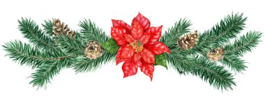 Suluboya Noel dekor seti, ağaç, kozalak. Suluboya Noel ağacı, beyaz arka planda lekeli köknar dekoru. Elle çizilmiş..