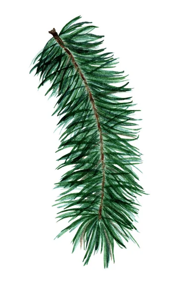 Weihnachtsbaum Aus Nadelzweigen Fichten Kiefern Tannendekor Für Neujahr Weihnachten Aquarell — Stockfoto