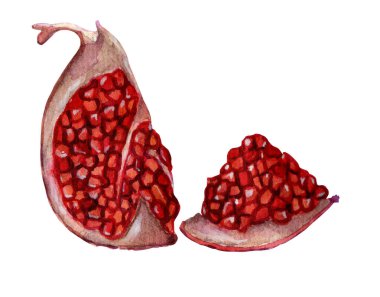 Taze olgun nar çeyreği ve tohumlarla dilimlenmiş zenralar. Beyaz arka planda izole edilmiş sulu sulu ve tatlı nar çizimi. El çizimi..