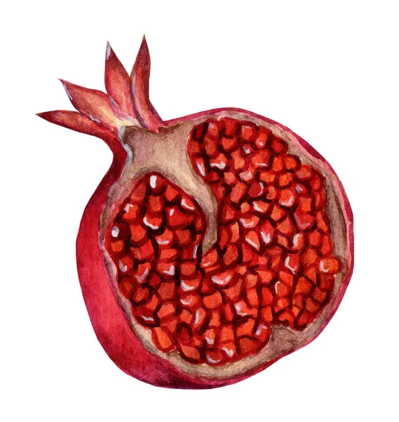 Half Pomegranate Watercolor Illustration Pomegranate Grains Juicy Ripe Sweet Pomegranate — Stock Photo, Image