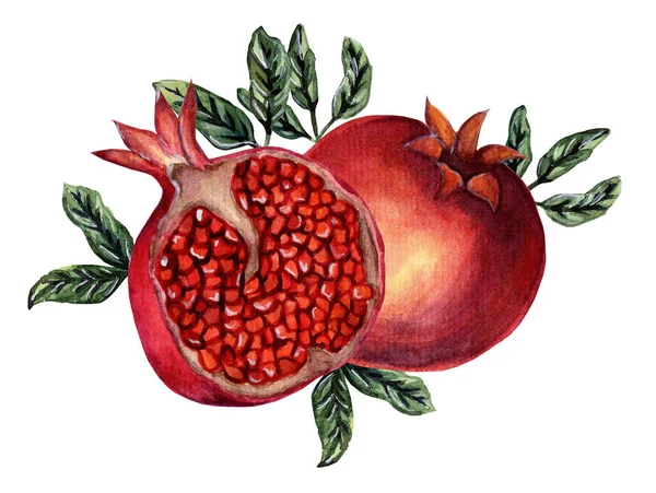 Whole Ganat Half Pomegranate Watercolor Illustration Ripe Pomegranates Leaves Juicy —  Fotos de Stock