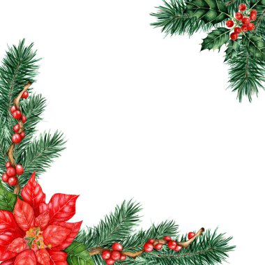 Noel çerçevesinde köknar, çam dalları, Holly dalları, Ilex ve Poinsettia. Çam iğneleri, böğürtlenler ve yapraklarla dolu bir köşenin suluboya çizimi. Beyaz arka planda izole edilmiş. Elle çizilmiş..