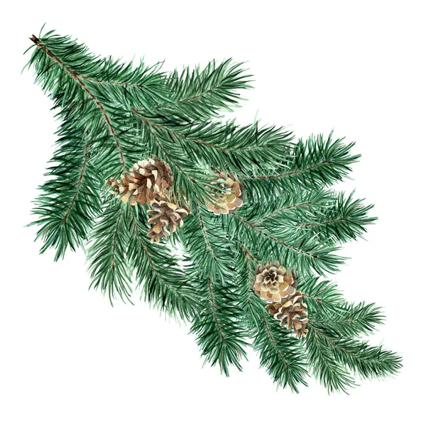 绿色绒毛云杉 松枝与锥 圣诞节和新年装饰的水彩画 冷杉被白色的背景隔离了手绘的 — 图库照片