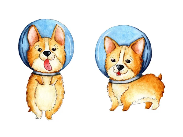 Uzay giysisi içinde küçük şirin Corgi yavrularından oluşan suluboya bir set. Kızıl saçlı astronot köpeği. Corgi yörüngede. Çocukların komik fotoğrafı. Beyaz arka planda izole edilmiş. Elle çizilmiş..
